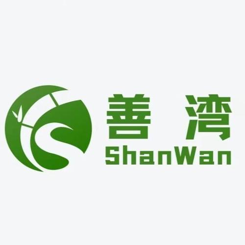 代生代怀公司-代生代怀公司:传承与创新