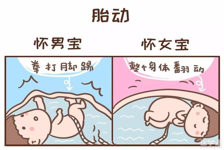 包生男孩公司哪家好【包生男孩公司哪家好?比较分析帮您选出最佳选择】